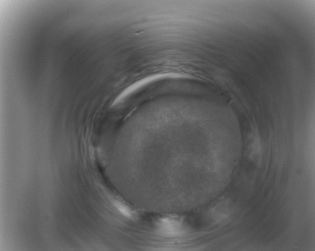 X0000082720232200702021453