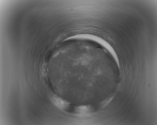 X0000082720237200702021453