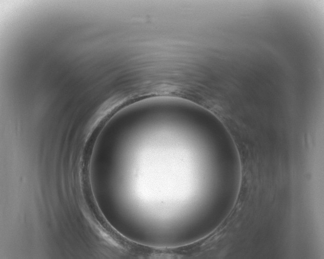 X0000082720242200702021452