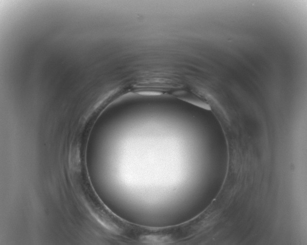 X0000082720251200702021452