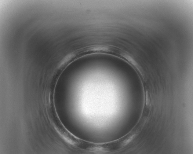 X0000082720253200702021452