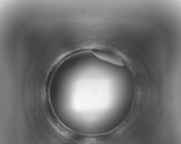 X0000082720298200702021452