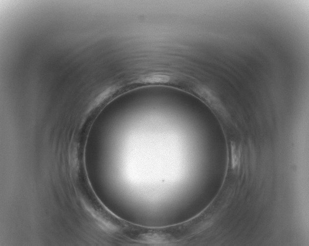 X0000082720300200702021452