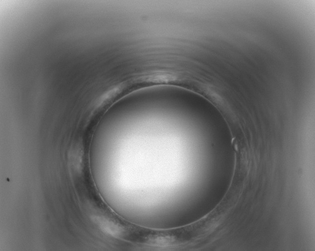 X0000082720304200702021452