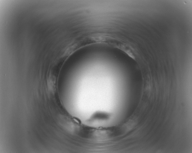 X0000082720332200702021451