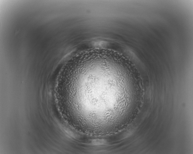 X0000082720363200702021451