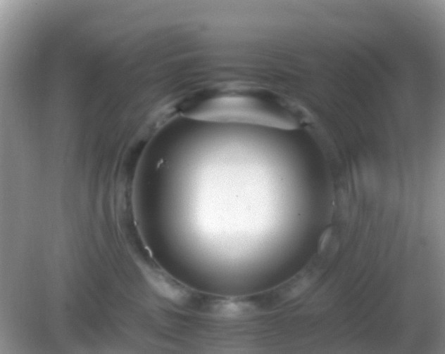 X0000082720379200702021451