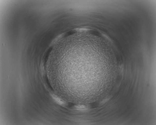 X0000082720381200702021451