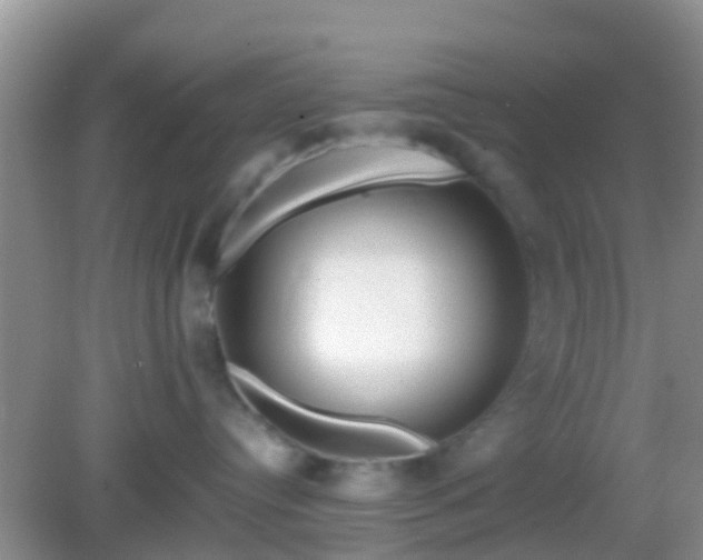 X0000082720384200702021451