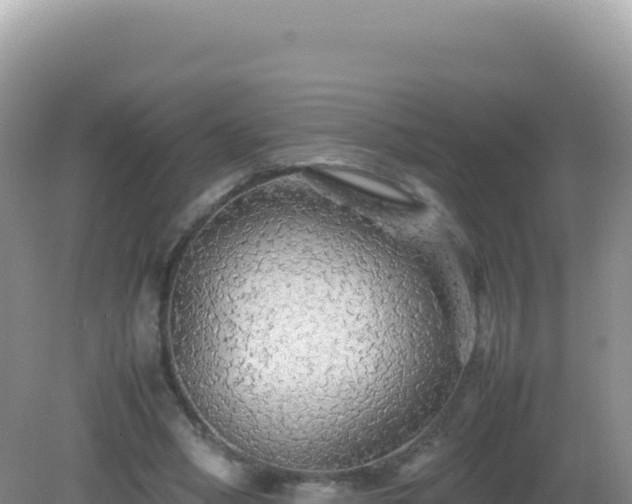 X0000082720394200702021450
