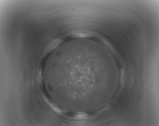 X0000082720410200702021450
