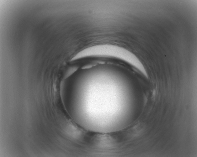 X0000082720424200702021450