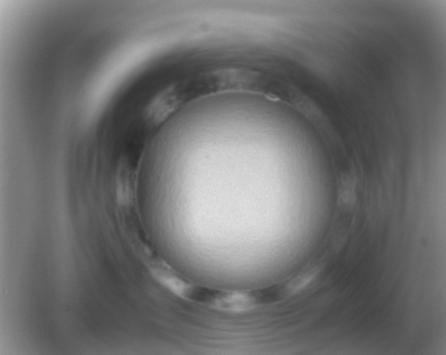 X0000082720431200702021450