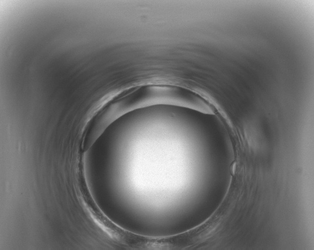 X0000082720437200702021449