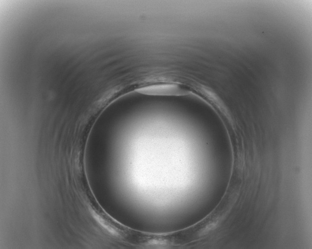 X0000082720441200702021449
