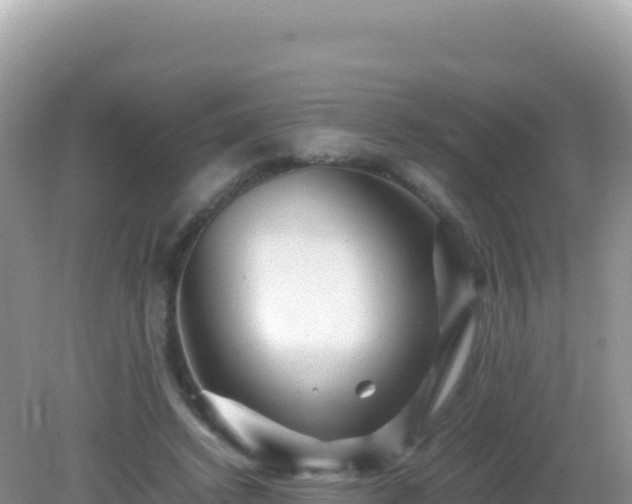 X0000082720448200702021449