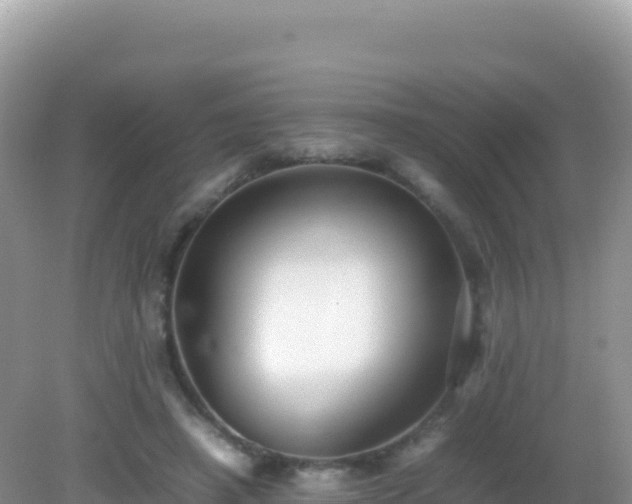 X0000082720450200702021449