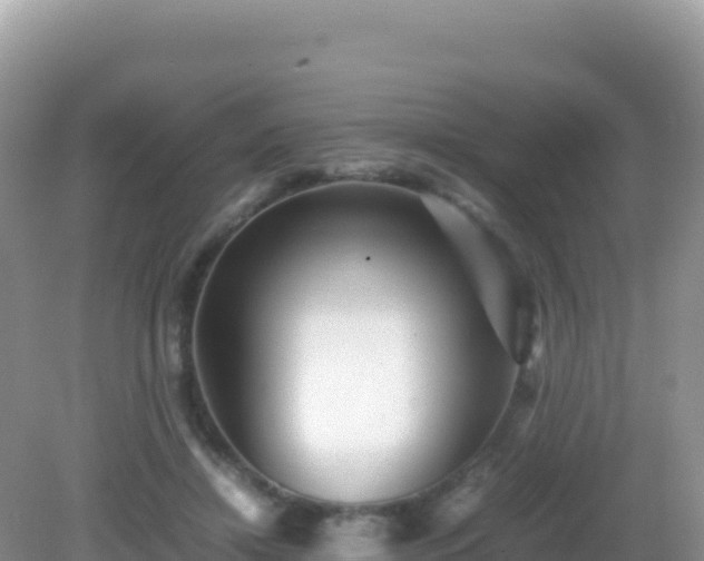 X0000082720452200702021449