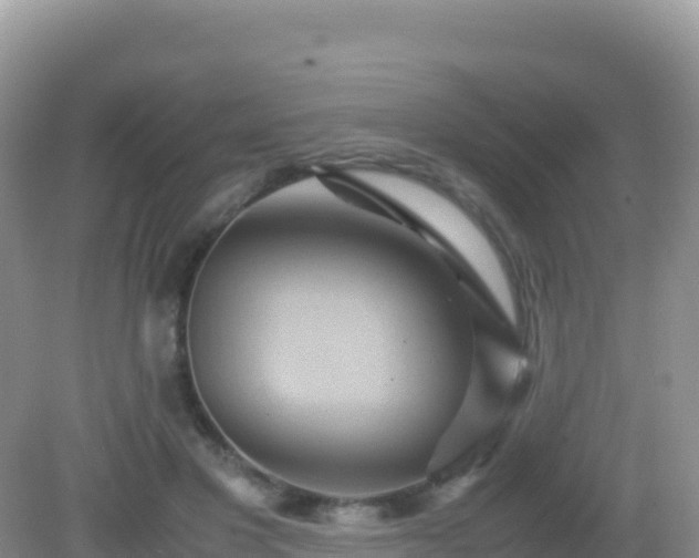 X0000082720501200702021449