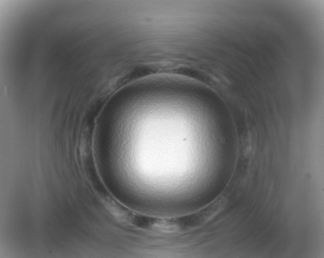 X0000082720515200702021448