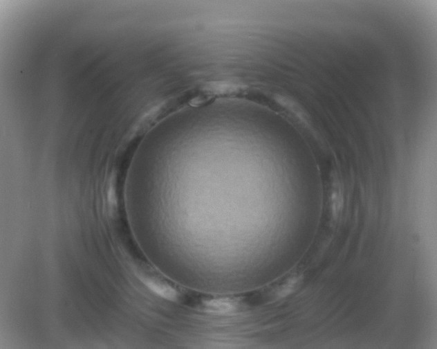 X0000082720516200702021448