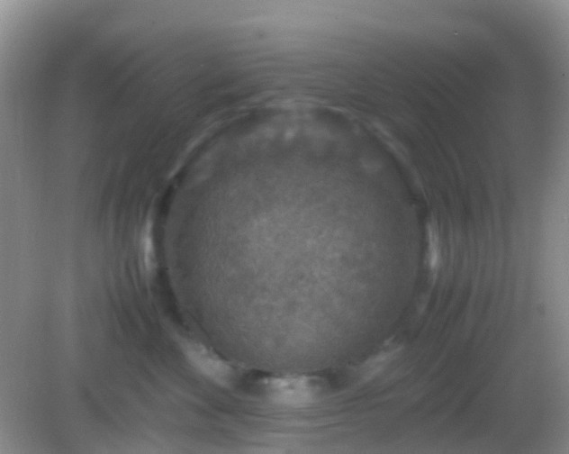 X0000082720524200702021448