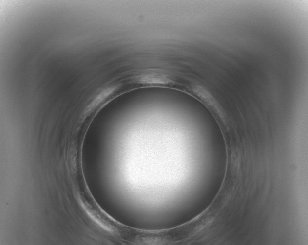 X0000082720533200702021447