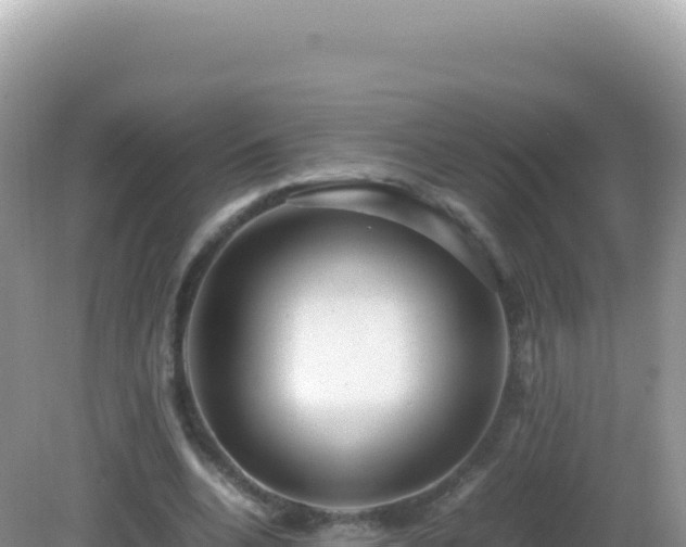 X0000082720536200702021447