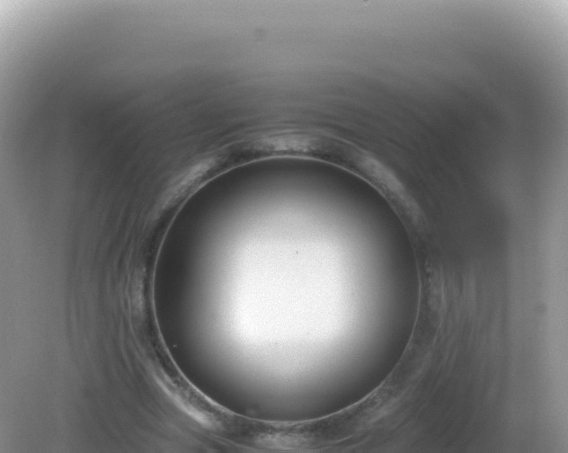 X0000082720537200702021447