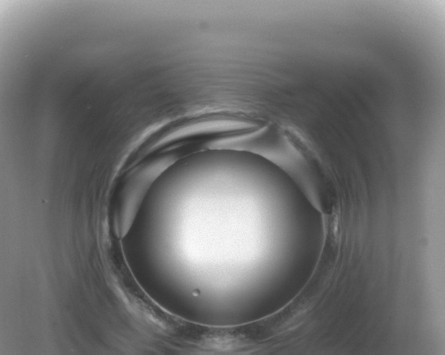 X0000082720540200702021447