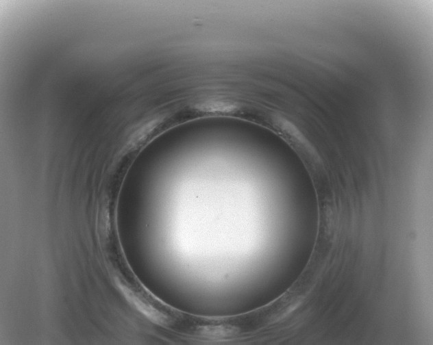 X0000082720541200702021447