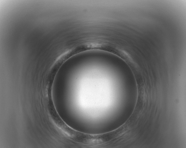 X0000082720543200702021447