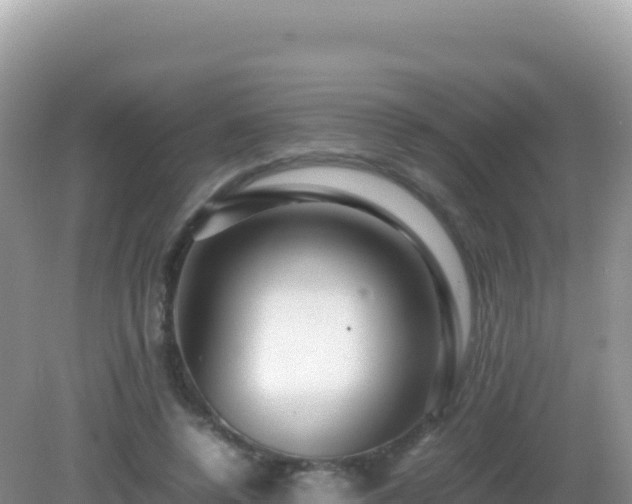 X0000082720544200702021447