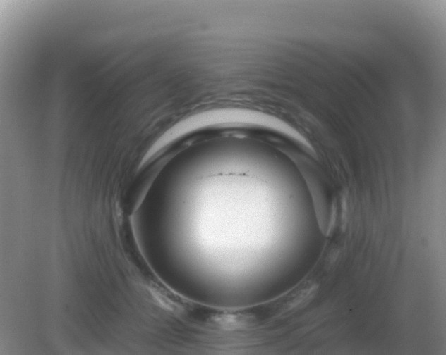 X0000082720558200702021448