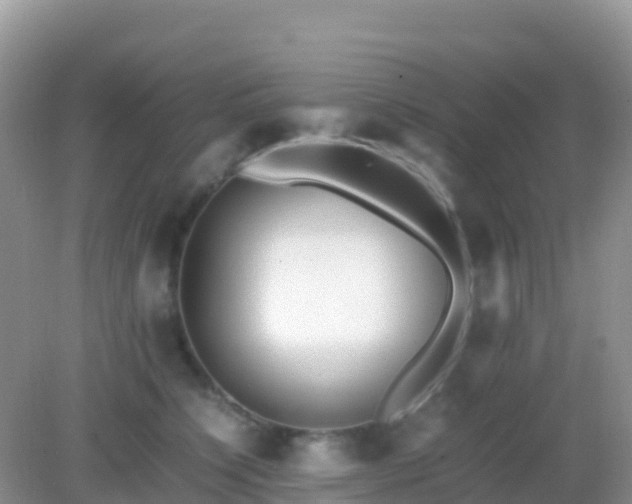X0000082720564200702021448