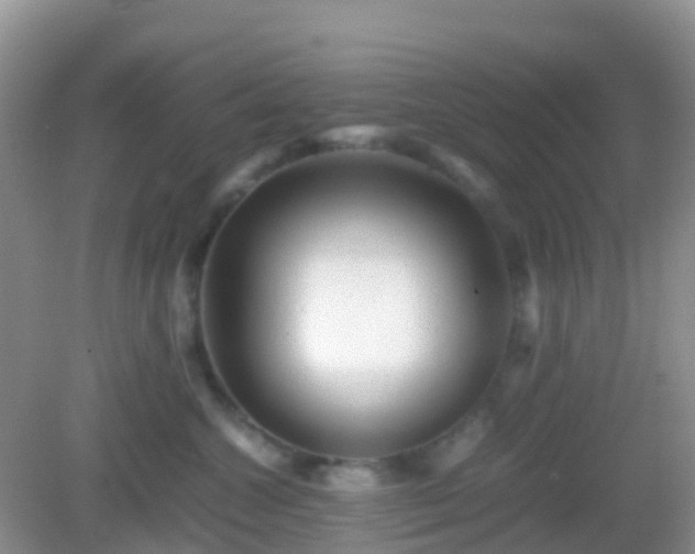 X0000082720572200702021448