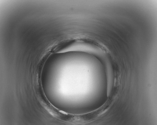 X0000082720589200702021447