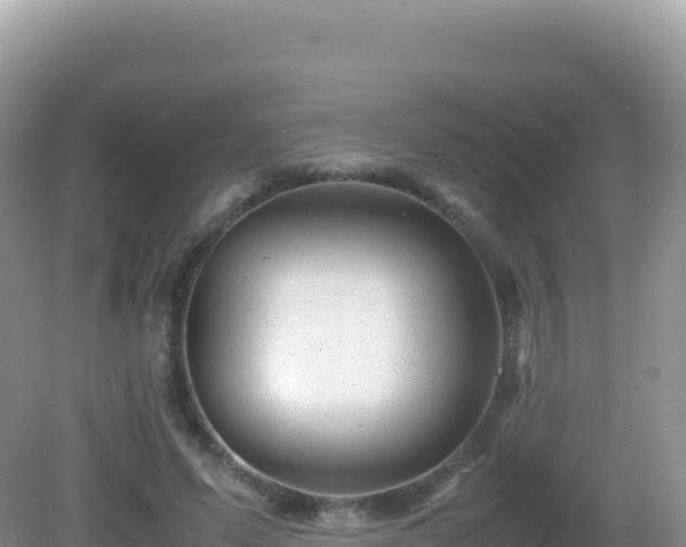 X0000082720591200702021447