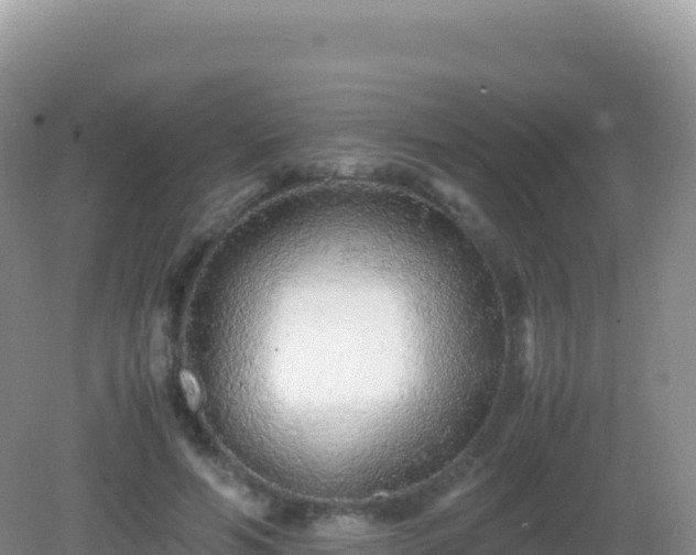 X0000082720594200702021447