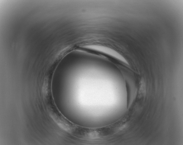 X0000082720600200702021447