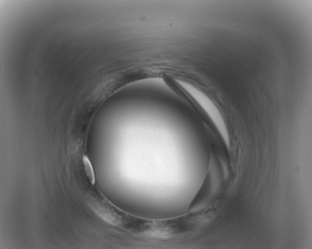 X0000082720601200702021447