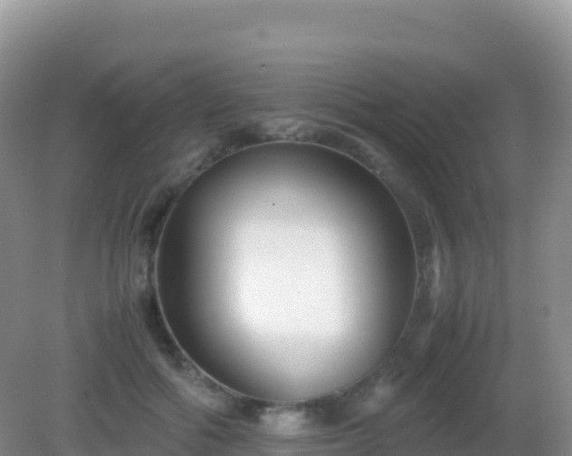 X0000082720602200702021447