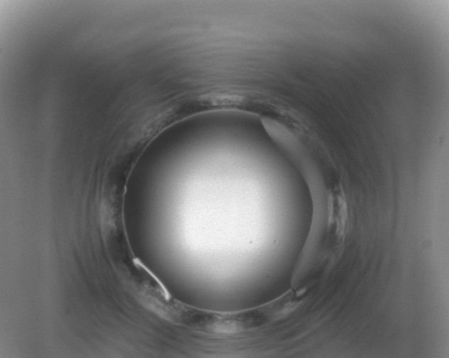 X0000082720604200702021447