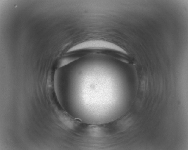 X0000082720620200702021446