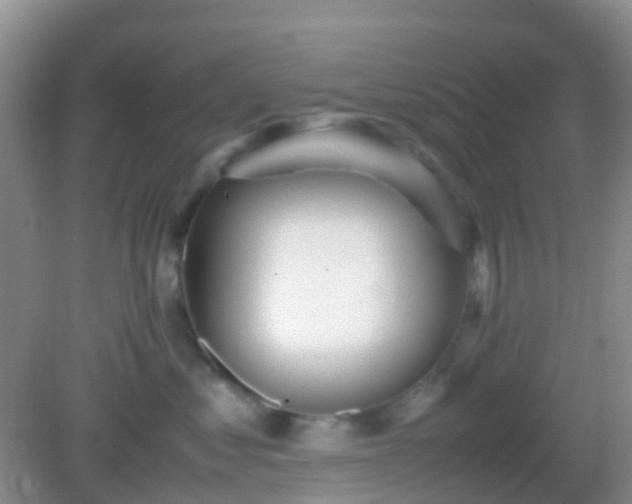 X0000082720621200702021446