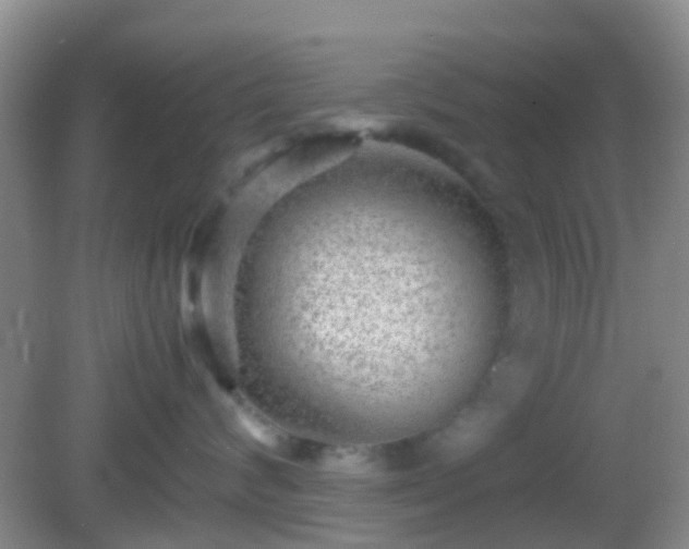 X0000082720624200702021446