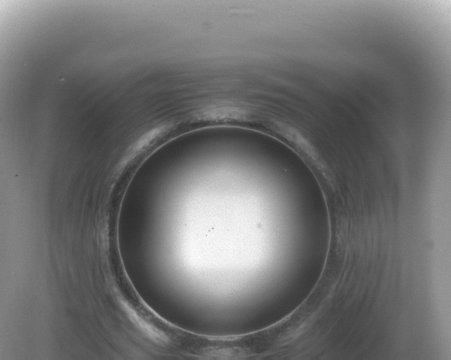 X0000082720629200702021446