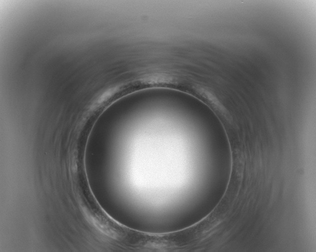 X0000082720631200702021446