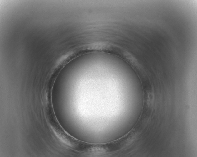 X0000082720636200702021446