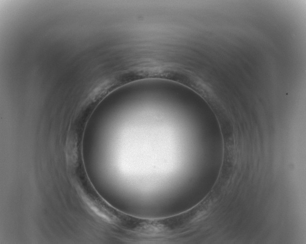 X0000082720642200702021446